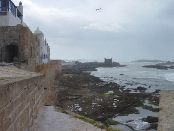 DSC00472