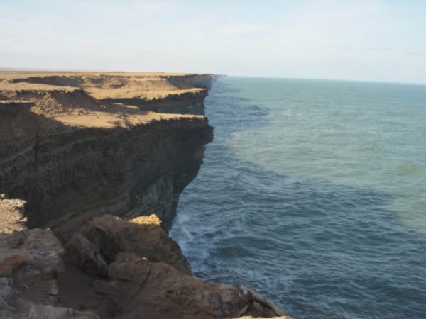 DSC00676