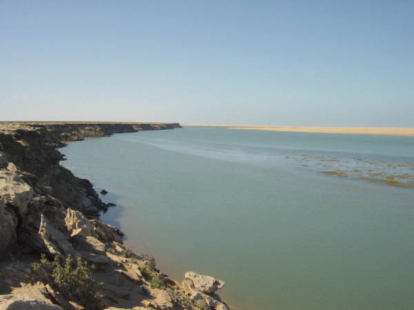 DSC00715