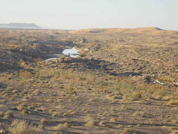 DSC03666