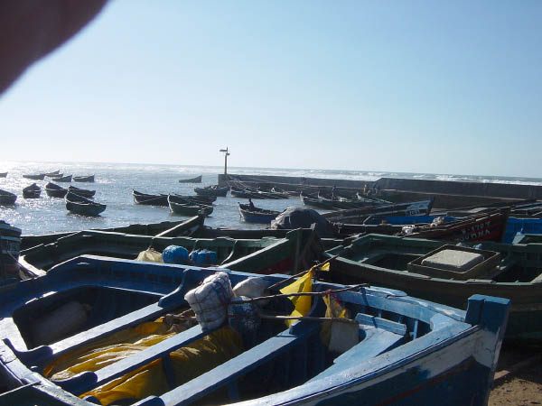 DSC03942