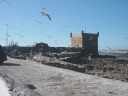 DSC03973
