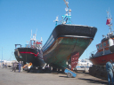 DSC03984
