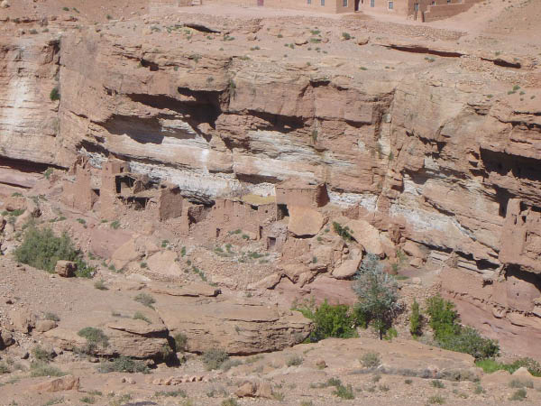 DSC04651