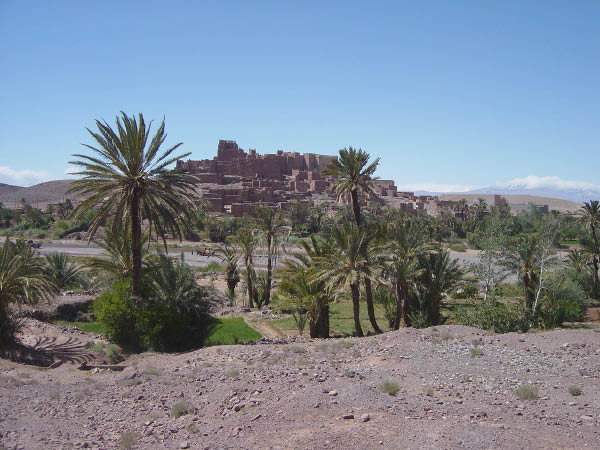DSC04671