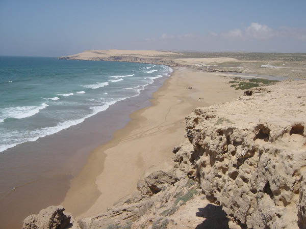 DSC05224