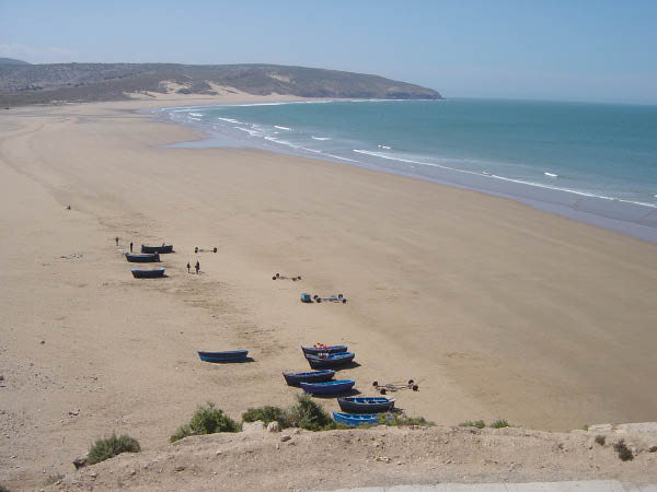 DSC05278