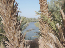 DSC05005