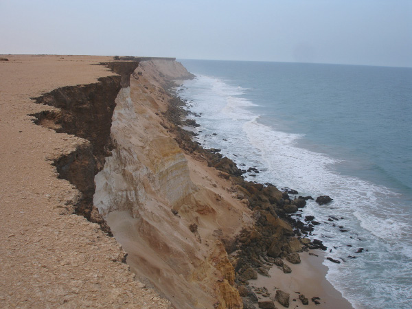 DSC03157